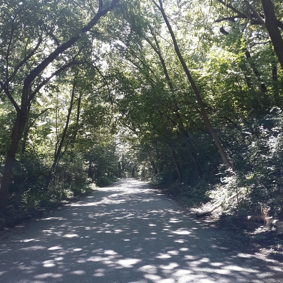 Meet your Posher, Rebecca - Picture 1 of 1